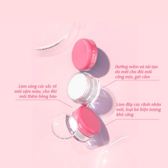 Son dưỡng Naris ngừa nhăn và khô môi dạng hũ 10g