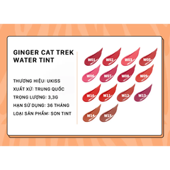 Son tint Ukiss Ginger Cat Trek 3.3g (nhiều màu)