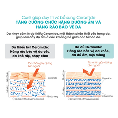 Sữa chống nắng Curél mặt & toàn thân cho da khô nhạy cảm 60ml