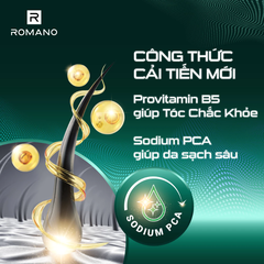 Tắm gội 2 trong 1 Romano hương nước hoa Gentleman 650g