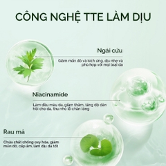 Thanh lăn mặt nạ đất sét Skintific Ngải Cứu giảm mụn 40g