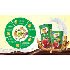 Thùng 48 hộp sữa cacao lúa mạch Care 100 Active 180ml