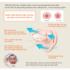 Ty ngậm Combi Sleep siêu nhẹ hoa lá/phi hành gia/khỉ con/đám mây/gấu trắng/dâu tây size S/M/L