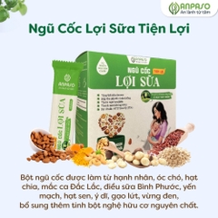 Ngũ cốc lợi sữa Anpaso hộp 450g