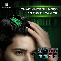 Dầu gội hương nước hoa Romano Classic/Attitude/Force/Gentleman 380g