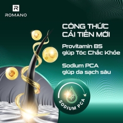 Dây 14 gói 7g tắm gội 2in1 hương nước hoa Romano Classic