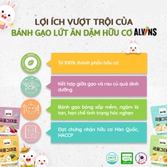 Bánh gạo lứt ăn dặm hữu cơ cho bé vị hành tây Alvins 25g