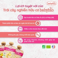 Trái cây nghiền hữu cơ cho bé nhiều vị Babybio 90g dành cho bé từ 6 tháng tuổi trở lên