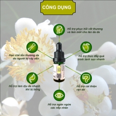 Dầu mù u Tây Đô Đại Phú An (C/10ml)