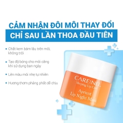 Mặt nạ ngủ môi Care:Nel hương mơ/chanh/dâu/lựu hũ 5g/23g