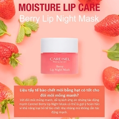 Mặt nạ ngủ môi Care:Nel hương mơ/chanh/dâu/lựu hũ 5g/23g