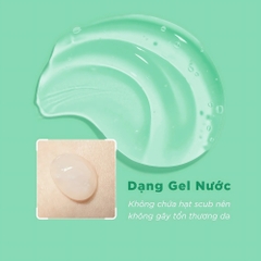 Gel tẩy tế bào chết Caryophy 250ml