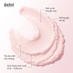 TẨY TẾ BÀO DA CHẾT THEBOL 320GR -  MUỐI HỒNG LỰU ĐỎ