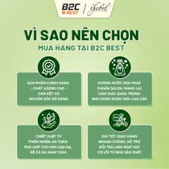 THEBOL - DẦU GỘI 20 DƯỢC LIỆU HỮU CƠ BƯỞI GỪNG NGĂN RỤNG GIẢM GÃY RỤNG TỪ CHÂN TÓC 336G