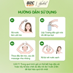 THEBOL - DẦU GỘI 20 DƯỢC LIỆU HỮU CƠ BƯỞI GỪNG NGĂN RỤNG GIẢM GÃY RỤNG TỪ CHÂN TÓC 336G