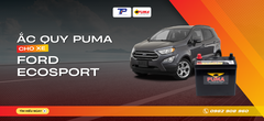 Ắc quy xe Ford EcoSport: Bảng giá và thông số kỹ thuật