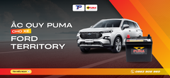 Ắc quy xe Ford Territory: Bảng giá và thông số kỹ thuật