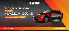 Ắc quy xe Mazda CX-8: Bảng giá và thông số kỹ thuật