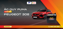 Ắc quy xe Peugeot 308: Bảng giá và thông số kỹ thuật