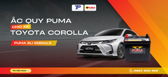 Ắc quy xe Toyota Corolla: Bảng giá và thông số kỹ thuật