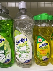 SUNLIGHT