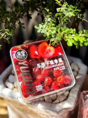 Ô mai Hộp