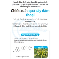 [SHERB] Viên nội tiết tố Atomy Sophora Queen/ 120 viên