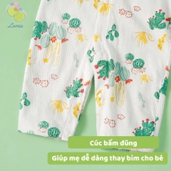 Body Cúc Giữa Dài Tay Hè Thu Mỏng Mát Cho Bé Nằm Điều Hoà 01BDD