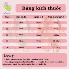 Bộ đồ liền thân dài tay thu đông cho bé sơ sinh 22BDD