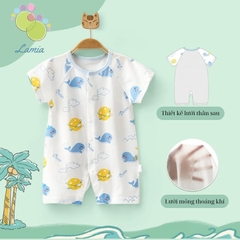 Body đùi cúc giữa lưng lưới 𝟑𝟕𝐁𝐃𝐃𝐔