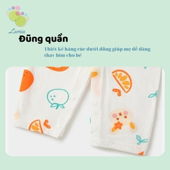 Body dài tay lưới thân sau 𝟏𝟓𝐁𝐃𝐃