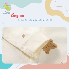 Body Cotton Dài Tay 𝟏𝟎𝐁𝐃𝐃