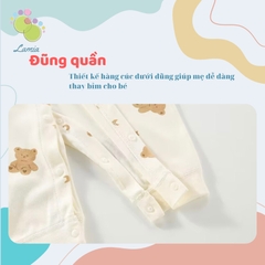 Body Cotton Dài Tay 𝟏𝟎𝐁𝐃𝐃