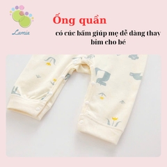 Body cổ sao 𝟑𝟗𝐁𝐃𝐃