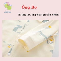 Body cổ sao 𝟑𝟗𝐁𝐃𝐃