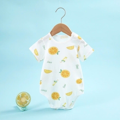 Bodysuits Cộc Tay Mùa Hè Cotton Thoáng Mát Mùa Hè Cho Bé Trai, Bé Gái 01BDS