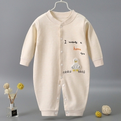 Bộ Body Dài Tay Liền Thân, Sleepsuit Cho Bé Sơ Sinh 05BDD