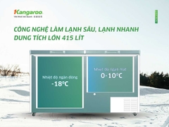 Tủ đông Kangaroo 252 lít KGFZ312NK2