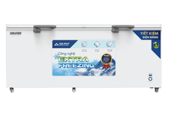 Tủ Đông Hoà Phát 544 Lít AD6544