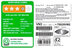 Google Tivi Sony 4K 75 inch K-75S25VM2