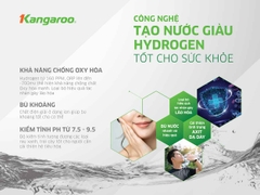Máy lọc nước nóng lạnh kangaroo KG10A15
