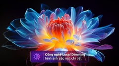 Smart Tivi QNED evo LG AI 4K 55 inch 55QNED86ASA