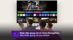 Smart Tivi QNED evo LG AI 4K 65 inch 65QNED86ASA