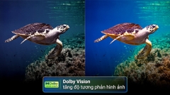 Smart Tivi Toshiba AI 4K 75 inch 75C350RP