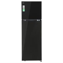 Tủ lạnh LG Inverter 217 lít T21BG