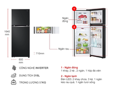 Tủ Lạnh LG Inverter 315 Lít LTB31BLM