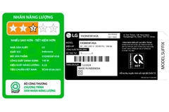 Smart Tivi QNED LG AI 4K 55 inch 55QNED81ASA