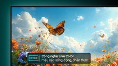 Google Tivi Sony 4K 75 inch K-75S25VM2