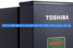 Tủ lạnh Toshiba Inverter 249 lít GR-RT325WE-PMV(06)