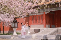 Du lịch Bắc Kinh mùa xuân - Thời điểm vàng khám phá cố đô Trung Hoa